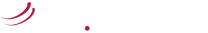LEI.net Logo